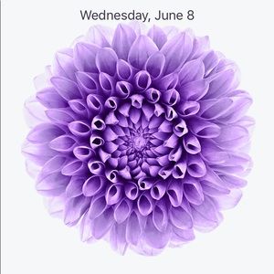 Meet your Posher, Rosa